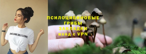 apvp Абинск