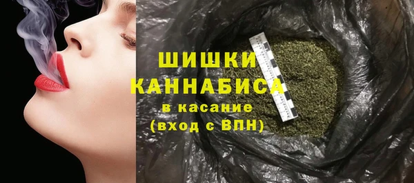 ECSTASY Покачи