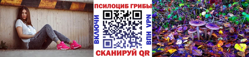 Псилоцибиновые грибы мухоморы  мега зеркало  Сысерть  сколько стоит 
